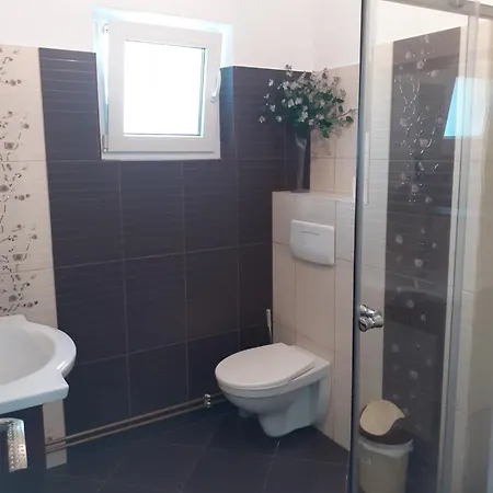 Apartament Cu 3 Camere La Poala Muntilor Fagaras Victoria  Exterior photo